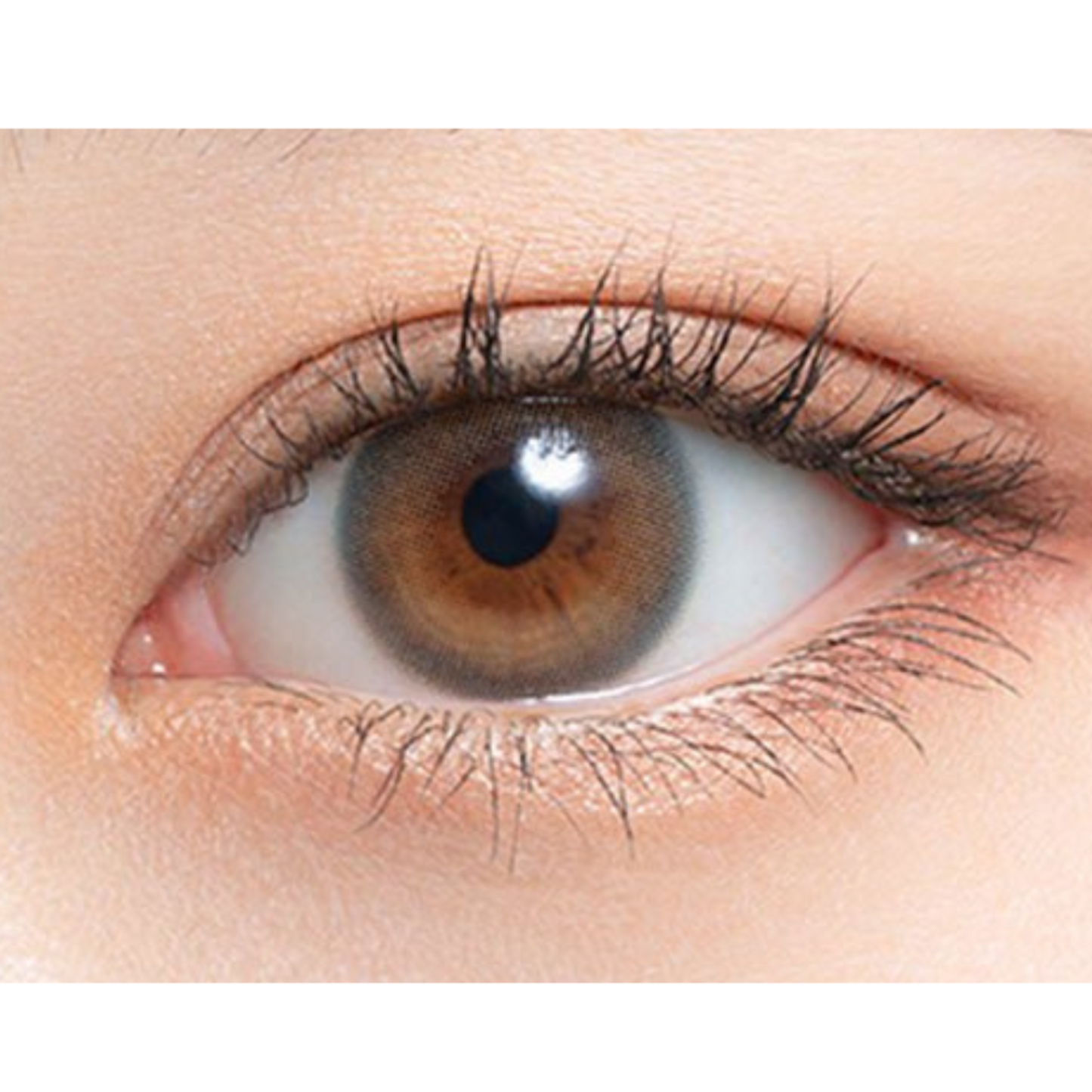 Mimuco Jelly Gray Daily Lenses 10pcs