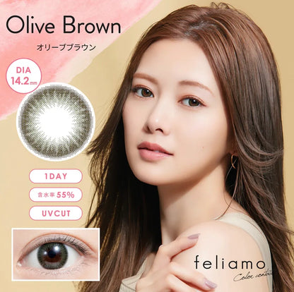 Feliamo Olive Brown Daily Lenses 10pcs